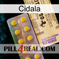 Cidala new06